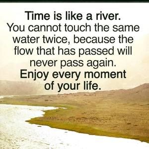 Meet your Posher, Liz